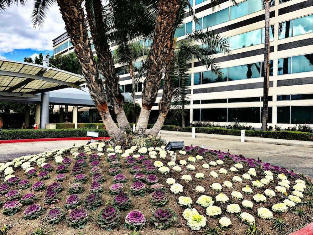 Sheraton Ontario Airport Hotel Extérieur photo